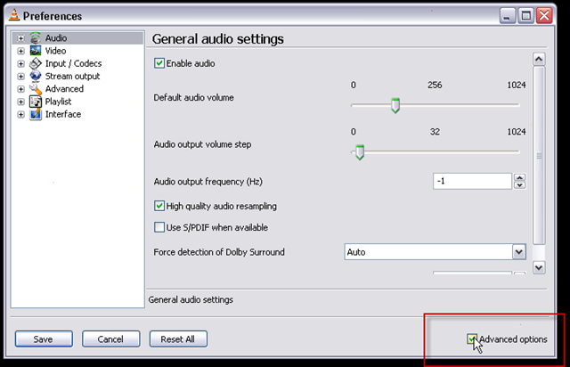 03_audio is selected by default_bottom right_check_advanced options checkbox