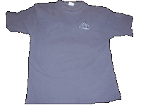 StarfleetAcademyShirt