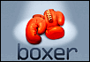 Boxer